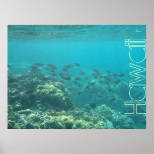 Póster Escena submarina Arrecife de coral poster Hawaii