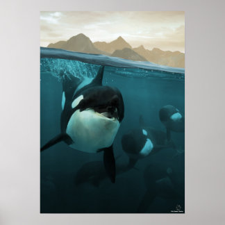 Póster Escena submarina con la familia orca