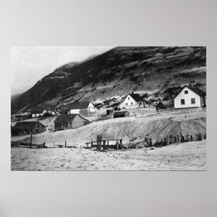 Póster Escena temprana del Kodiak, fotografía de Alaska