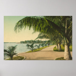 Póster Escena vintage de Palm Beach Florida 1898