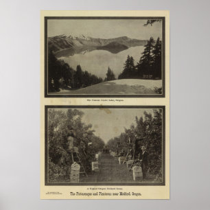 Póster Escenario del Crater Lake Oregon Orchard