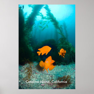 Póster Escenario subacuático