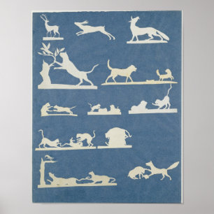 Póster Escenas animales y gatos en juego