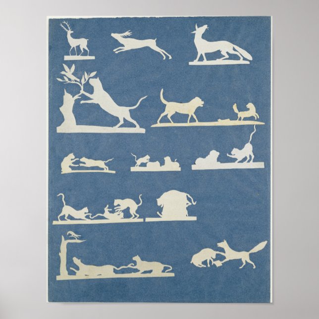 Póster Escenas animales y gatos en juego (Frente)