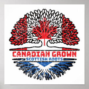 Póster Escocia Escocia Bandera de raíces de árbol canadie