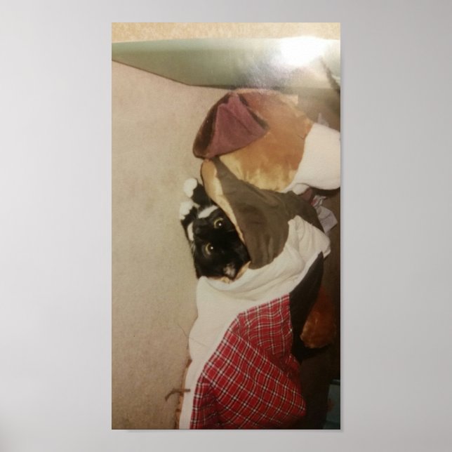 Póster escondiéndose bajo un gatito de manta (Frente)