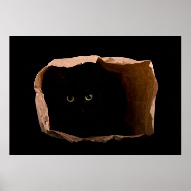 Póster Escondiéndose en las sombras (Frente)