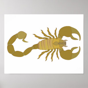 Póster Escorpión