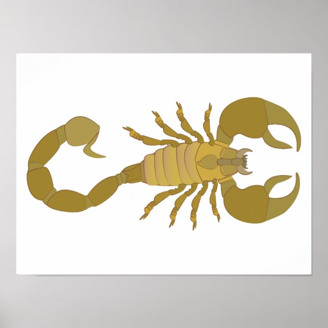 Póster Escorpión (Frente)