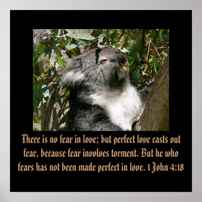 Póster Escritura Cristiana 1 Juan 4:18 (Frente)