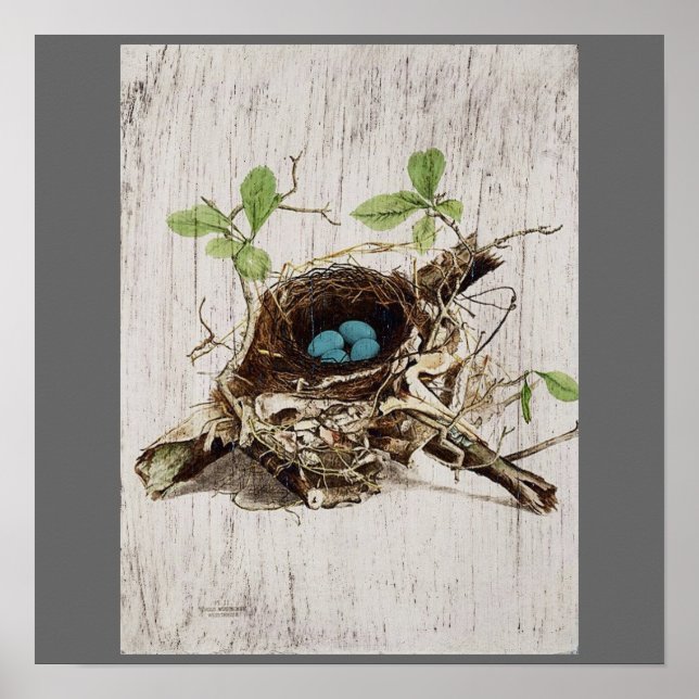 Póster escritura vintage ephemera bird nest french botanc (Frente)