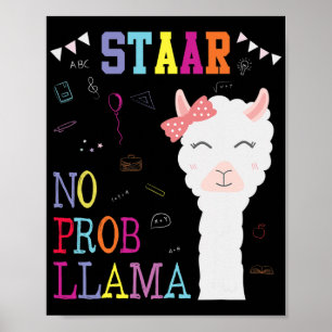 Póster Escuadrón del día de prueba sin profesor Prob-llam
