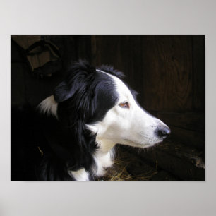 Póster "Escuchando"