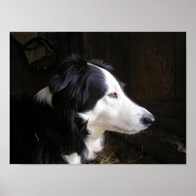 Póster "Escuchando" (Frente)