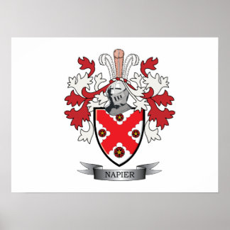 Póster Escudo de armas de la familia Napier