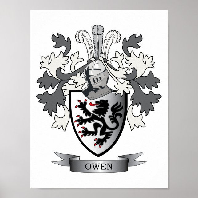 Póster Escudo de armas de la familia Owen (Frente)