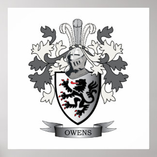 Póster Escudo de armas de la familia Owens