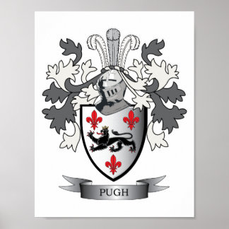Póster Escudo de armas de la familia Pugh