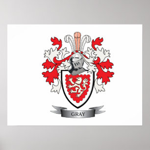 Póster Escudo de armas gris del escudo de la familia