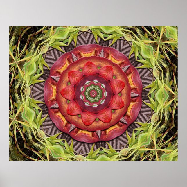 Póster Escudo de la jungla (Frente)