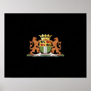 Póster Escudo de Rotterdam
