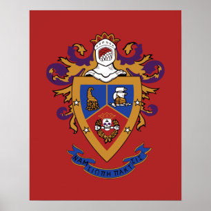 Póster Escudo oficial de Delta Sigma Pi