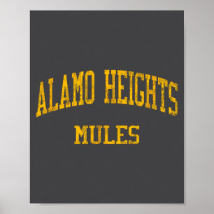 Póster Escuela Secundaria Alamo Heights Hs San Antonio Tx
