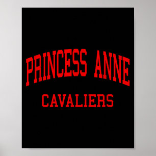 Póster escuela secundaria princess anne hs virginia beach