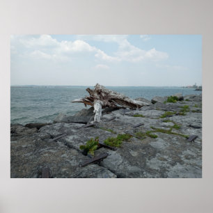 Póster Escultura de monstruo del lago de madera