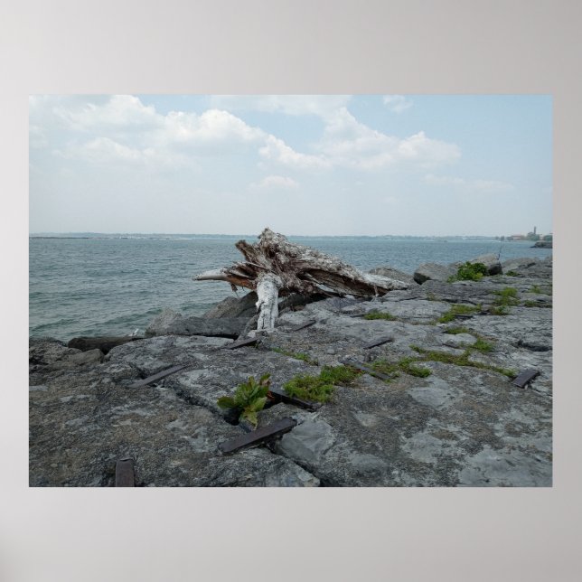 Póster Escultura de monstruo del lago de madera (Frente)