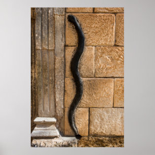 Póster Escultura de serpiente en Amna Suraka