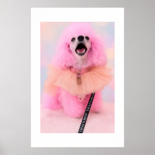 Póster Ese cartel retro kawaii de caniche rosa está que a