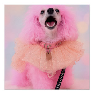 Póster Ese cartel retro kawaii de caniche rosa está que a