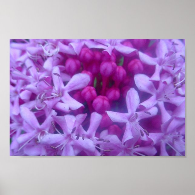 Póster Esfera de morado (Frente)