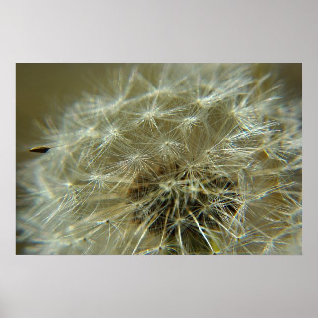 Póster Esfera Fluffy - Poster (Frente)