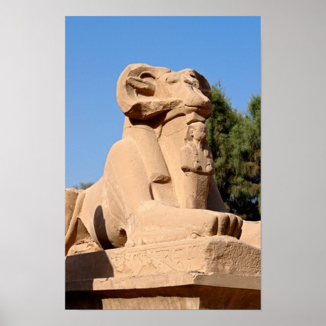 Póster Esfinge con cabeza de carnero en el Templo de Karn (Frente)