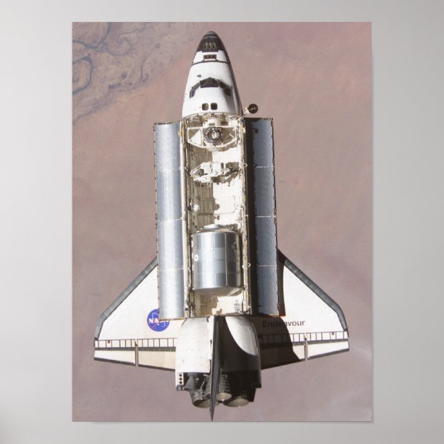 Póster Esfuerzo del transbordador espacial (STS-111) (Frente)