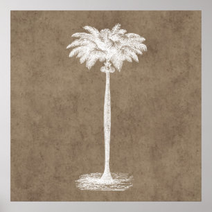 Póster Espacio en blanco tropical de la plantilla de la
