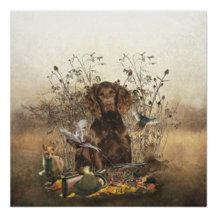 Póster Español alemán, Wachtelhund