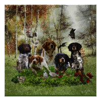 Españoles de Bretaña, caza de aves