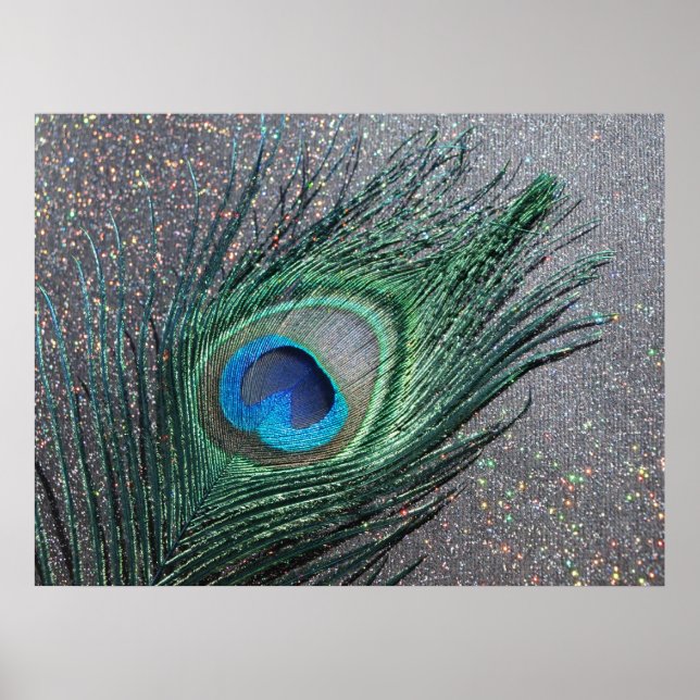 Póster Espantosamente Black Peacock Feather Still Life (Frente)
