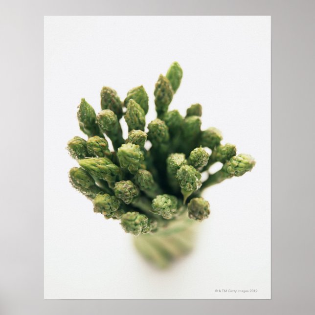 Póster Espárrago verde (Frente)