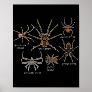 Póster Especie araña Tarantula Arachnid Gifts Spider