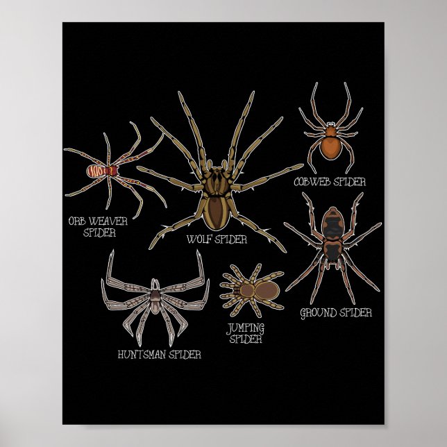 Póster Especie araña Tarantula Arachnid Gifts Spider (Frente)