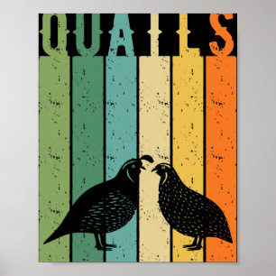 Póster Especies de aves de codorniz Granjero de codornice