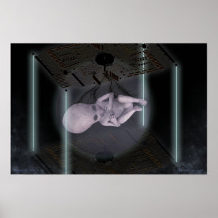 Póster Especies de colmena 731,2-506,2