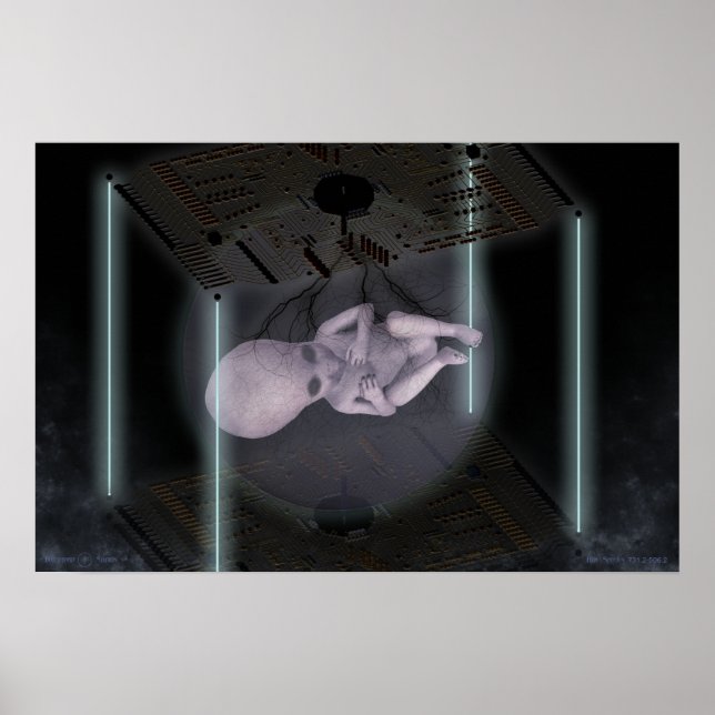 Póster Especies de colmena 731,2-506,2 (Frente)