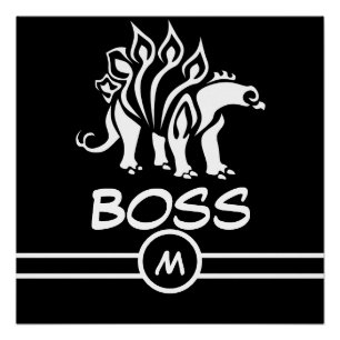 Póster Espectacular estegosaurio blanco