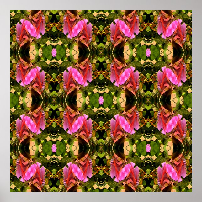 Póster Espectacular Rosa...... (Frente)