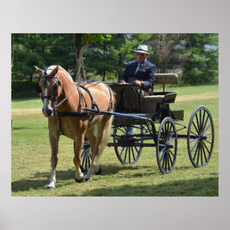 Póster Espectáculo de Caballos de Carro de Walnut Hill